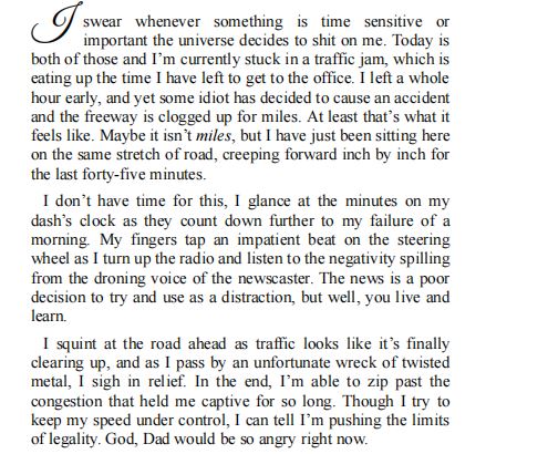 Bosshole Lawyer by Bella Brandon PDF