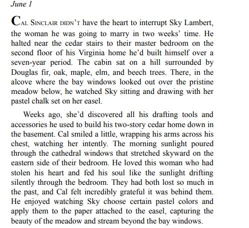 Collateral Damage by Lindsay McKenna PDF