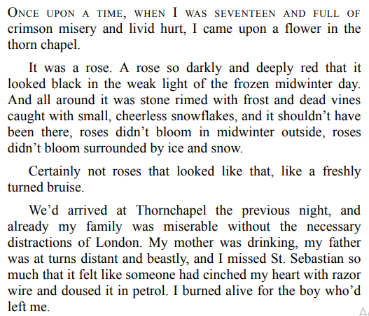 Door of Bruises by Sierra Simone pdf