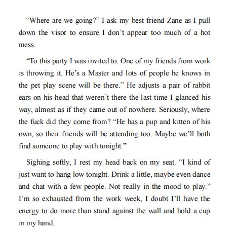 Flying Hard for Finn by Ashlynn Mills PDF