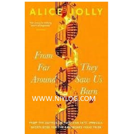 From Far Around They Saw Us Burnby Alice Jolly