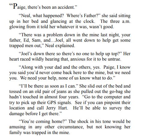 His Lucky Paige by Rosa Mink PDF