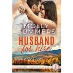 Husband For Hire by Molly Summers
