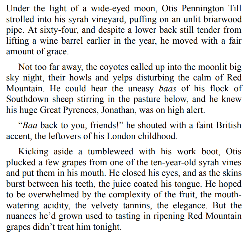 Red Mountain by Boo Walker 