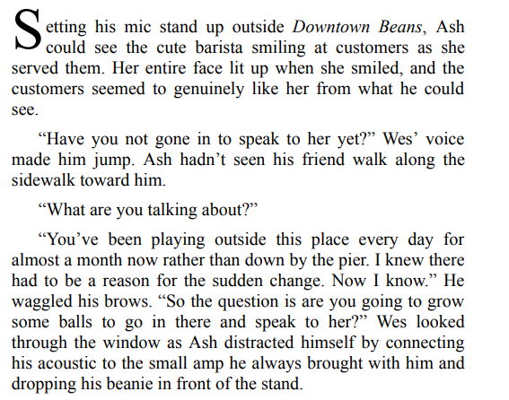 The Busker and the Barista by M. B. Feeney pdf