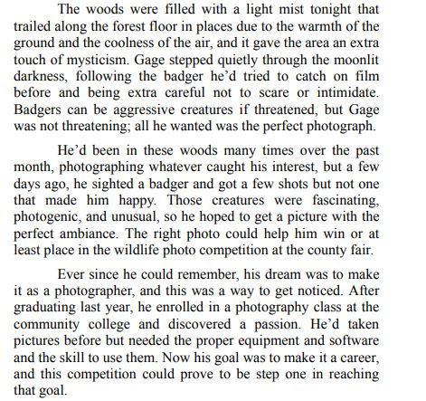 The Commander’s Fate by B.A. Stretke PDF