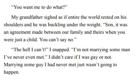 The Marriage Merger by Aja Foxx PDF