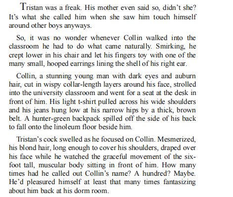 The Obsession by Christie Gordon PDF