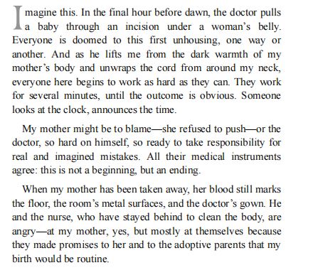 The skin and its girl by Sarah Cypher PDF