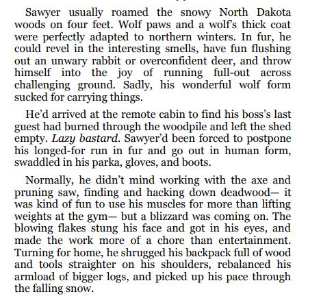 Unseen Past by Kaje Harper PDF