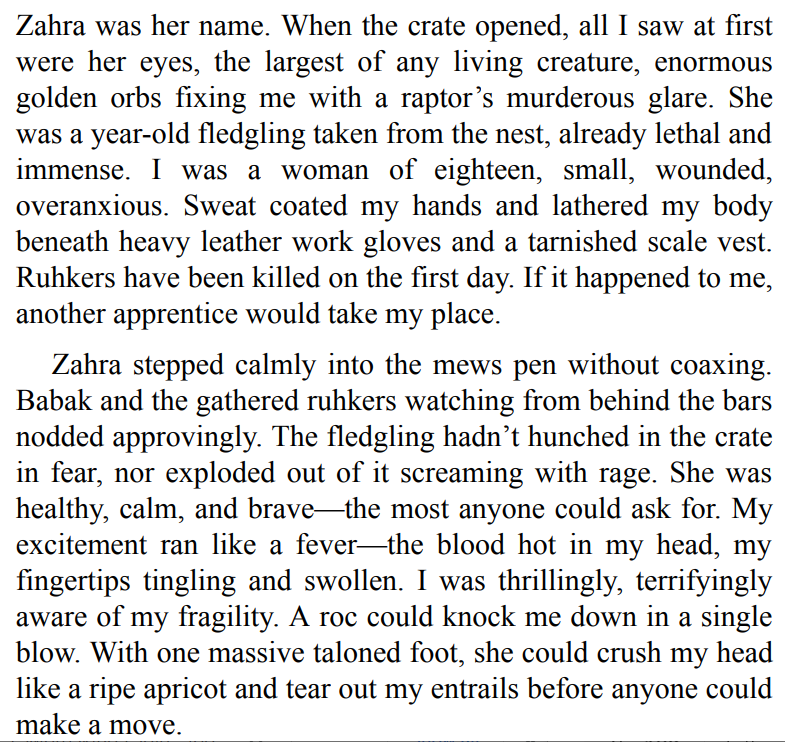 Untethered Sky by Fonda Lee 