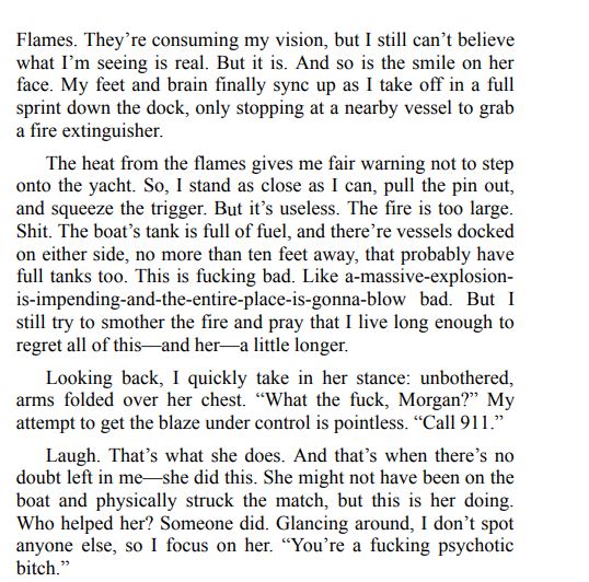 Vicious Liar by A.J. Logan PDF