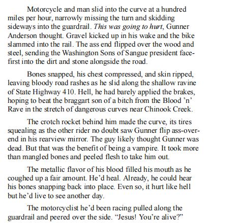 Gunner by Patricia A Rasey