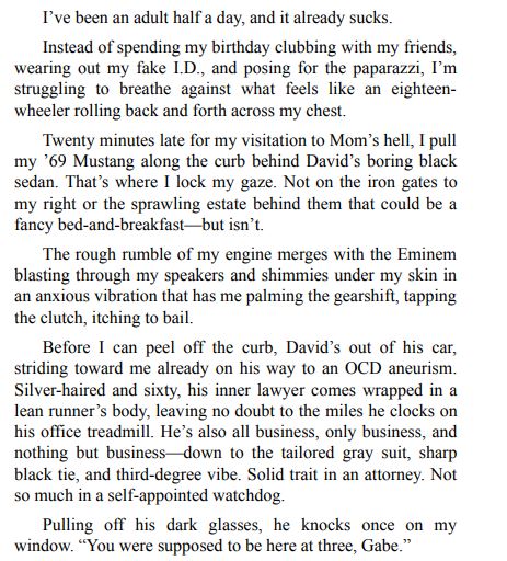 The Accidental Boyfriend by Lori Freeland PDF