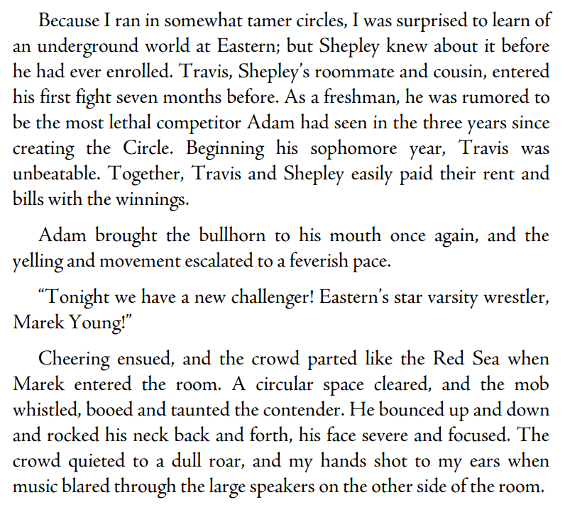 Beautiful Disaster by Jamie McGuire