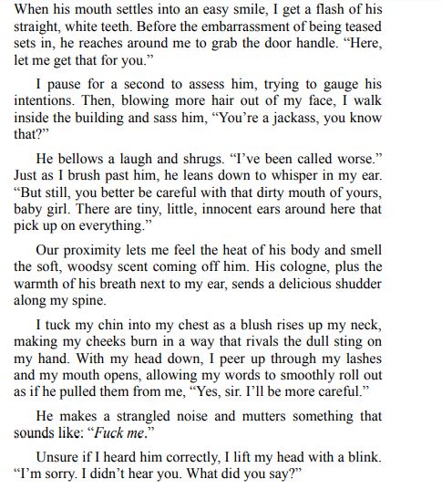 Dad Bod Dom by Elyse Kelly PDf