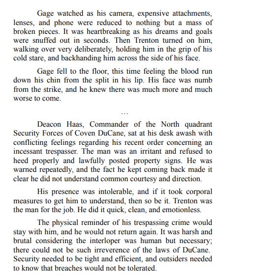 The Commander’s Fate by B.A. Stretke PDF