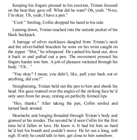 The Obsession by Christie Gordon PDF