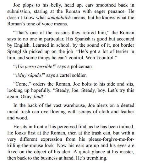 The Rescue by T. Jefferson Parker PDF