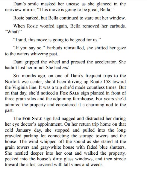 When the Rain Ends by Mary Ellen Taylor PDF