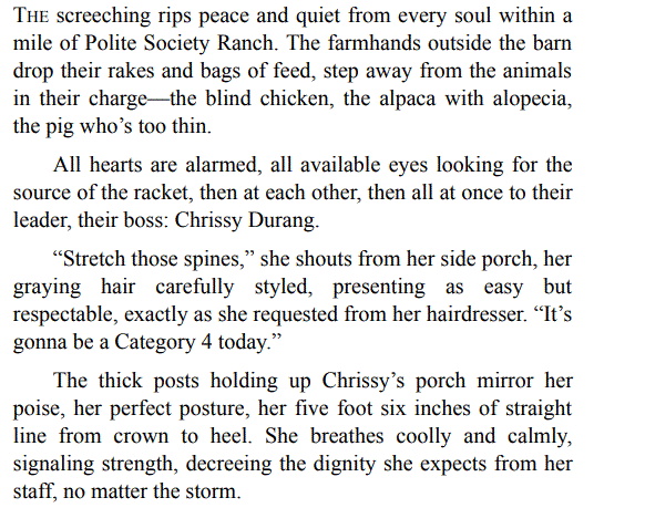 BIG GAY WEDDING BY BYRON LANE PDF