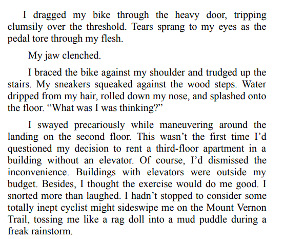 BROKEN PROMISES BY K.S. RUFF PDF