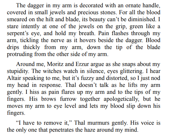 Forever with the Fae King by Bailey Dark PDF