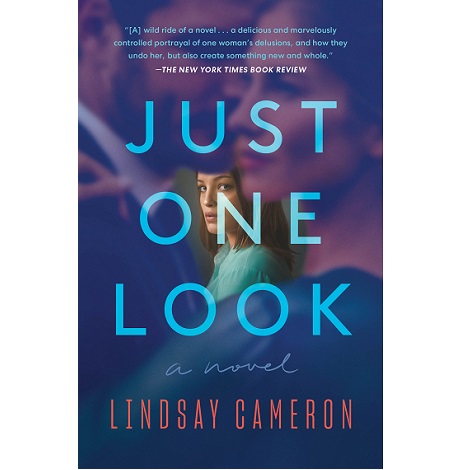 Just One Look by Lindsay Cameron PDF