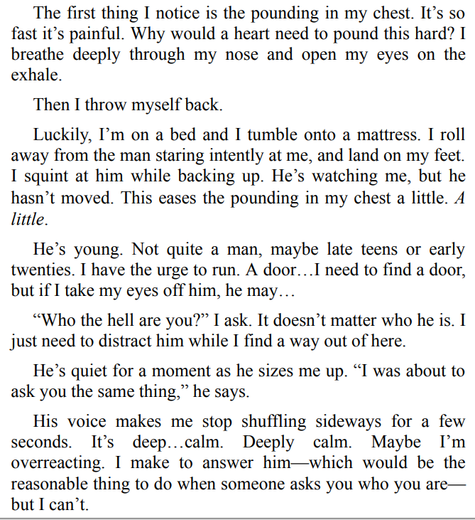 Never Never: by Colleen Hoover