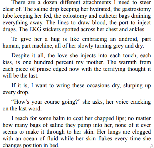 PRETTY SAVAGE BOYS BY LAYLA SIMON pdf