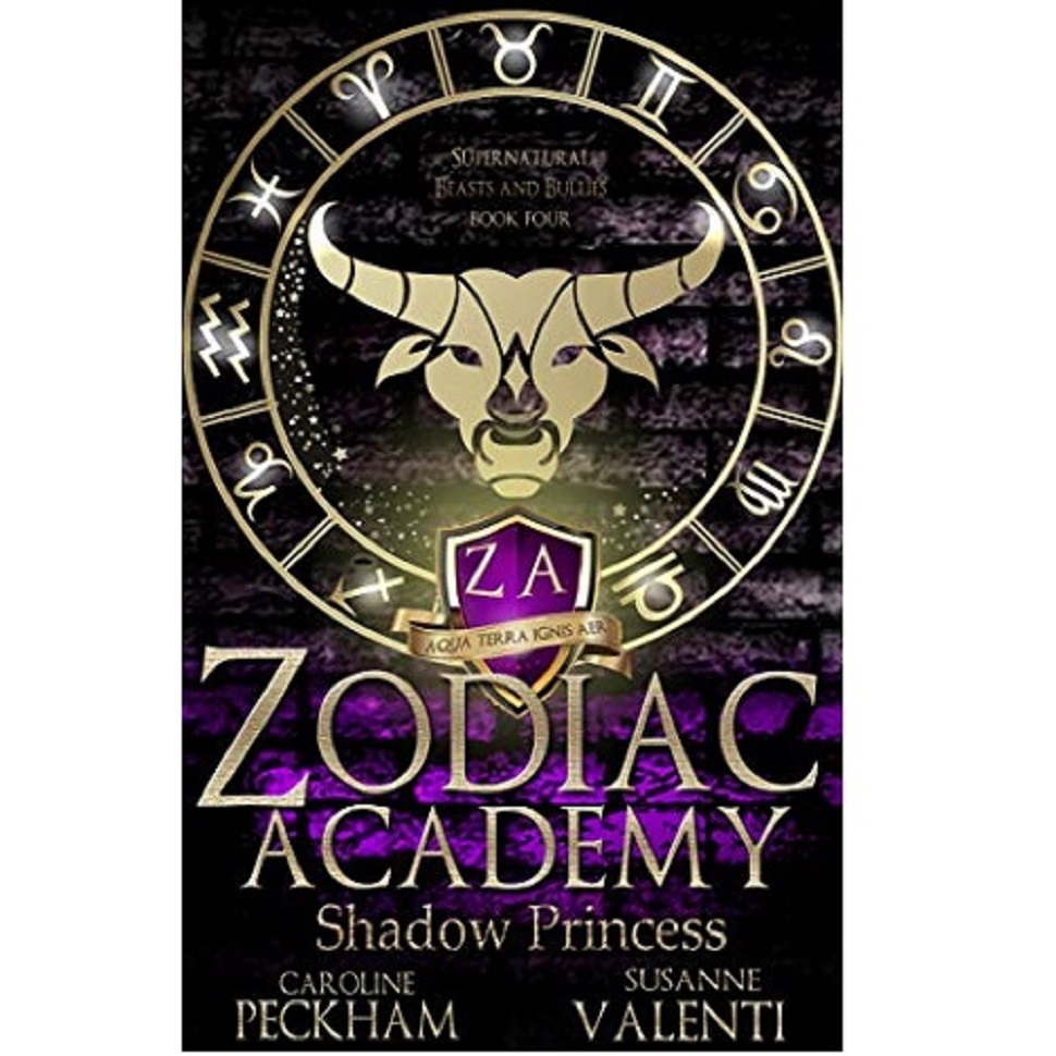 Shadow Princess by Susanne Valenti