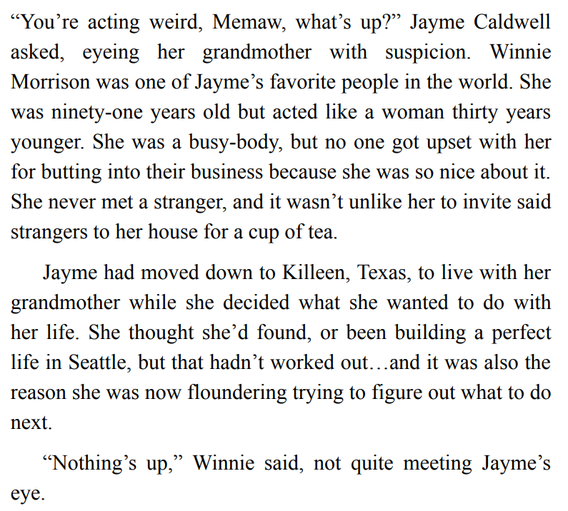 Shielding Jayme by Susan Stoker 