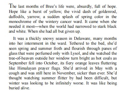 Someone Else’s Bucket List by Amy T. Matthews PDF