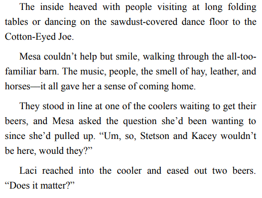 Stetson’s Lady by Ronni Griffith EPUB