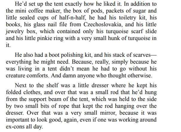 THE COWBOY AND THE HOODLUM BY JACKIE NORTH epub