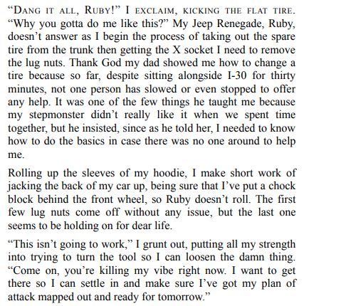 The Enforcer by Darlene Tallma PDF