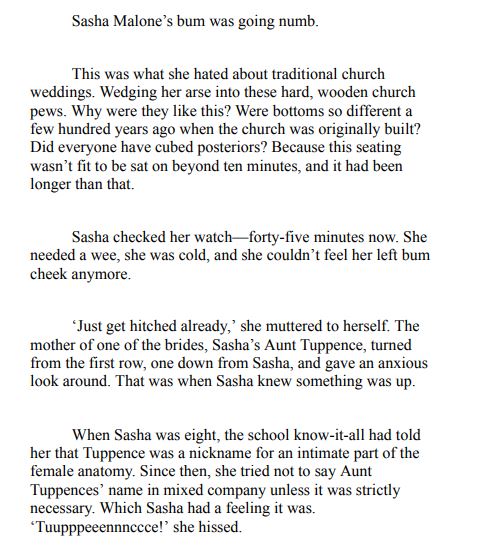 The Honeymoon Hijackers by Natasha West pdf