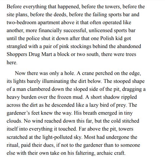 The Marigold by Andrew F. Sullivan PDF