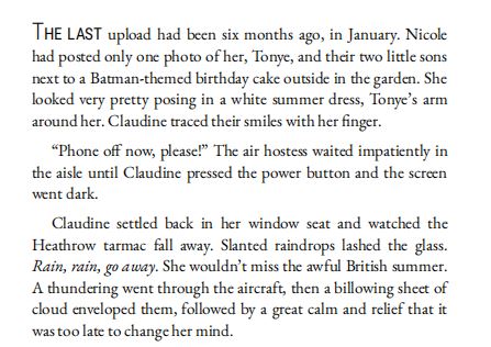 The Nigerwife by Vanessa Walters PDF