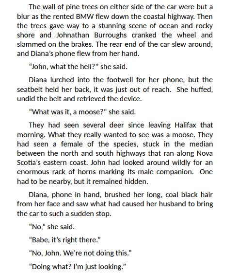 The Pirate’s Prize by Warren Court PDF