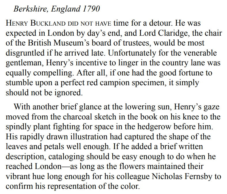 The Unassuming Curator by Sian Ann Bessey