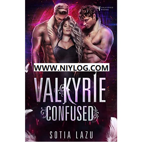 Valkyrie Confused by Sotia Lazu -WWW.NIYLOG.COM