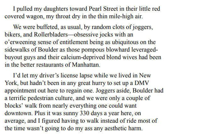 Valley of Ashes by Cornelia Read epub