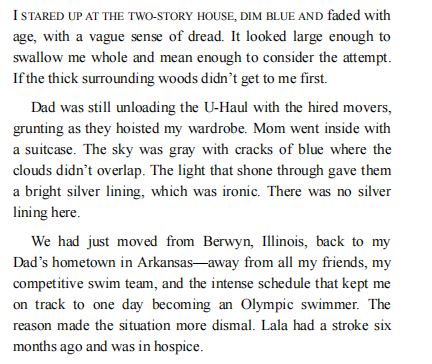 We Don't Swim Here by Vincent Tirado PDF