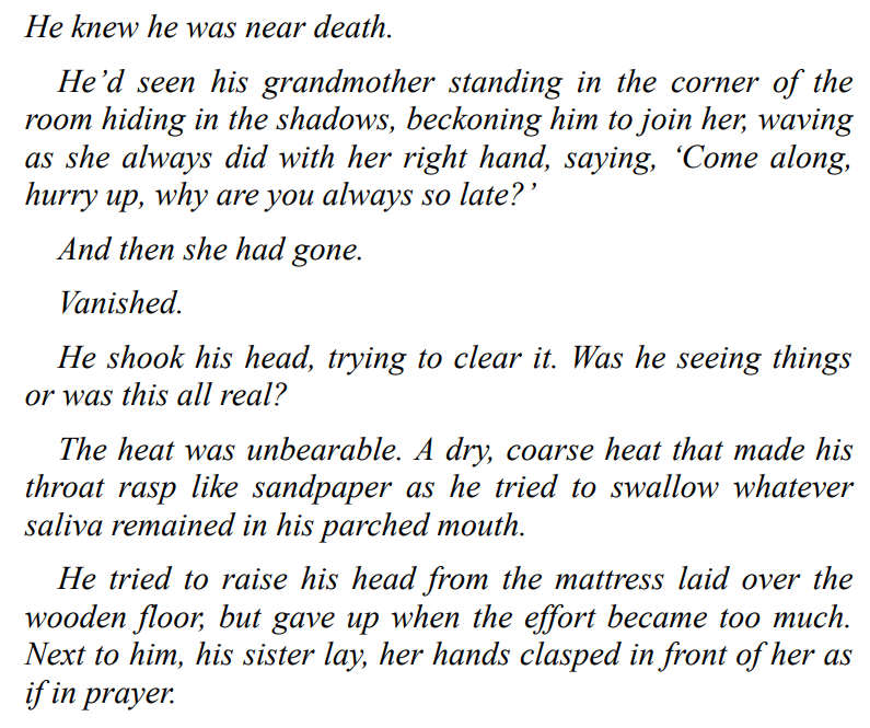 What the Shadows Hide by M J Lee 