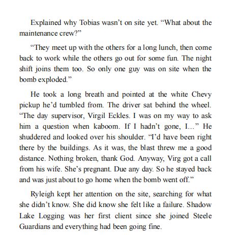 Edge of Steele by Susan Sleeman