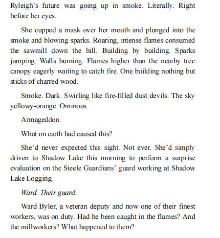 Edge of Steele by Susan Sleeman