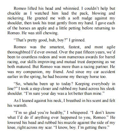 Worth the Ride by Shannon Davis