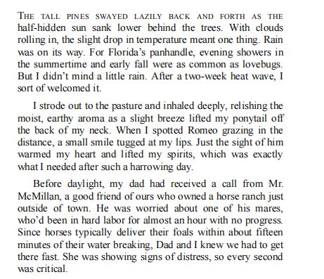 Worth the Ride by Shannon Davis