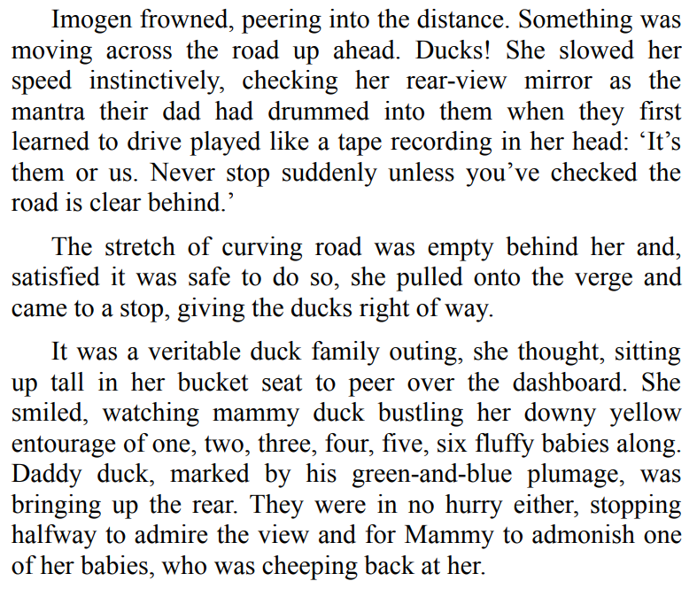 New Beginnings in the Little Irish Village by Michelle Vernal